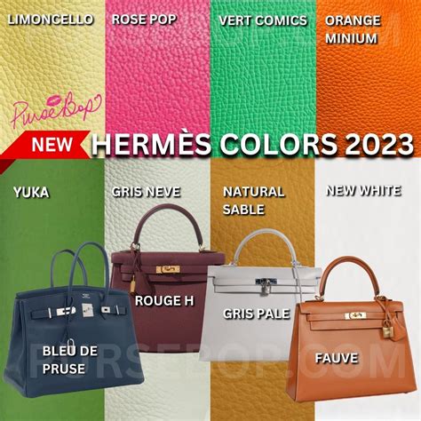 hermes birkin nera outfit|hermes birkin colors.